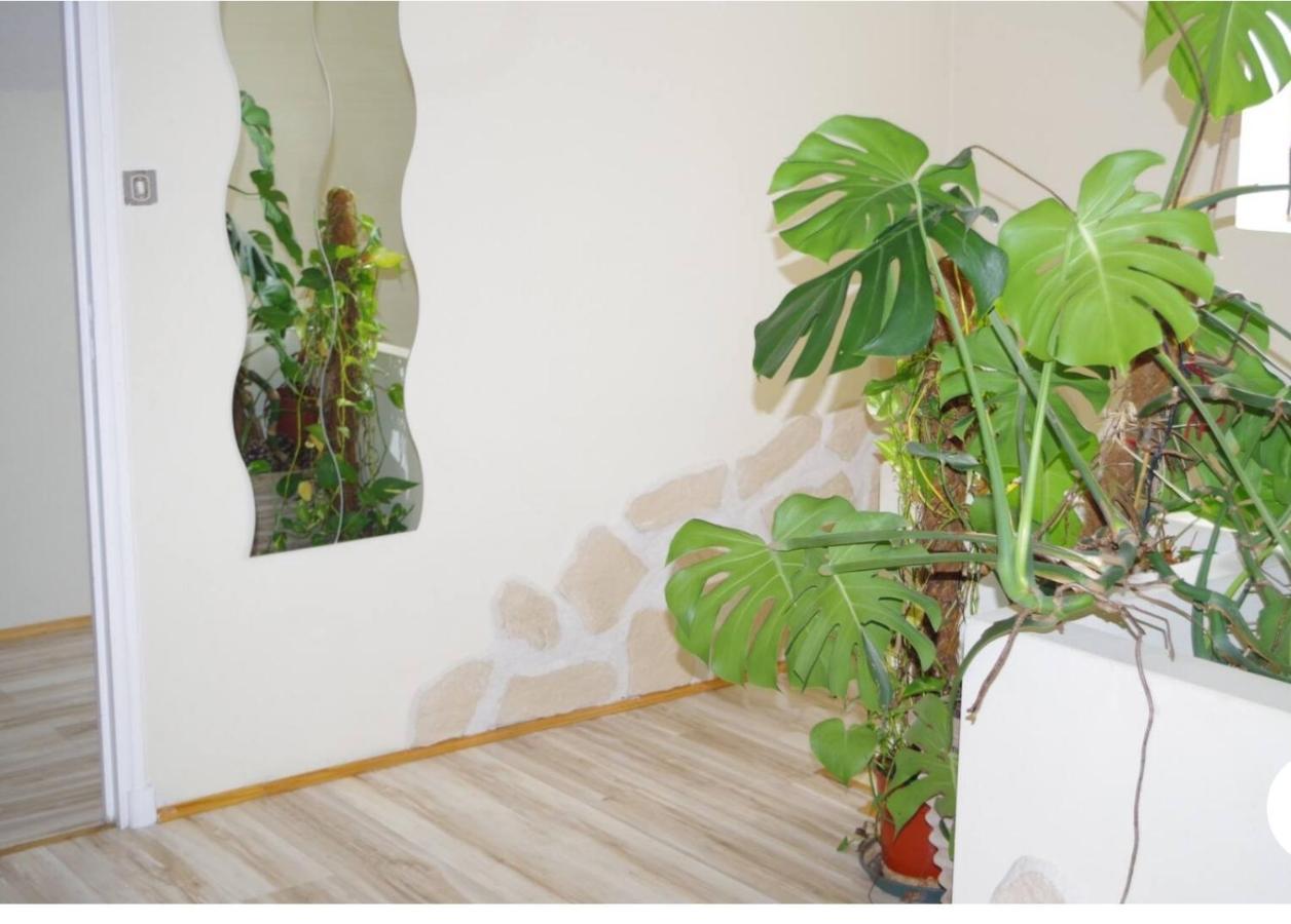 L'Appartement 90M2 Climatise Avignon Bagian luar foto
